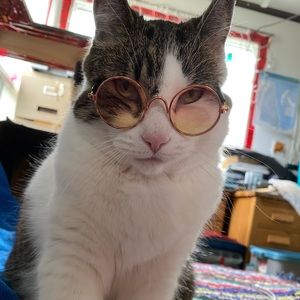 Meet your Posher, Girlie